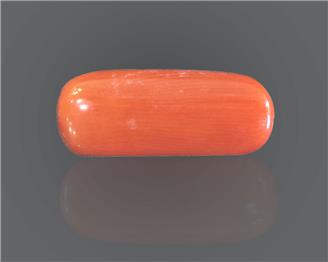 Natural Coral  7.99RTS-27564